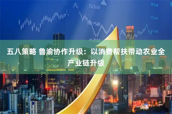 五八策略 鲁渝协作升级：以消费帮扶带动农业全产业链升级