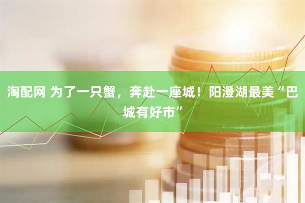 淘配网 为了一只蟹，奔赴一座城！阳澄湖最美“巴城有好市”