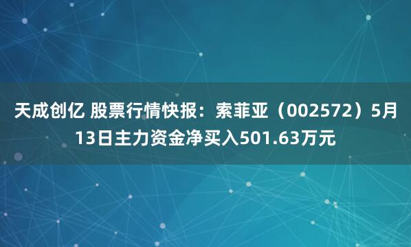 天成创亿 股票行情快报：索菲亚（002572）5月13日主力资金净买入501.63万元