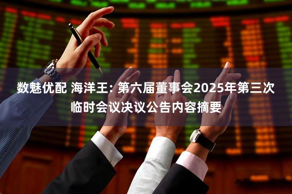 数魅优配 海洋王: 第六届董事会2025年第三次临时会议决议公告内容摘要