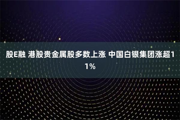 股E融 港股贵金属股多数上涨 中国白银集团涨超11%